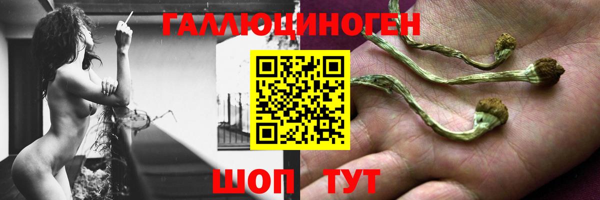 Дедовск  Галлюциногенные грибы Magic Shrooms  Вход с VPN 